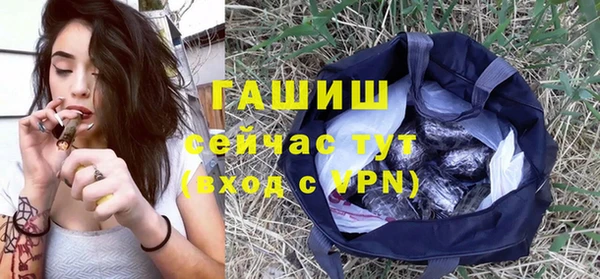 твердый Богданович