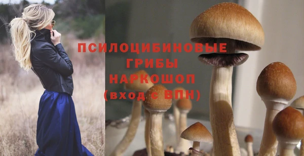 MESCALINE Богородицк