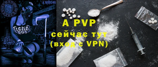 твердый Богданович