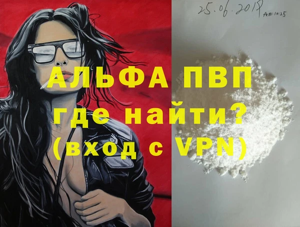 твердый Богданович