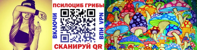 Псилоцибиновые грибы GOLDEN TEACHER  Ростов-на-Дону 